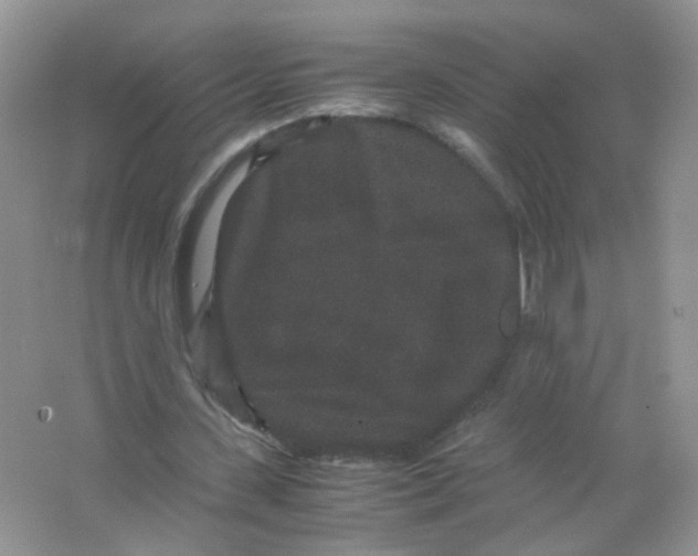 X0000063500531200602172121