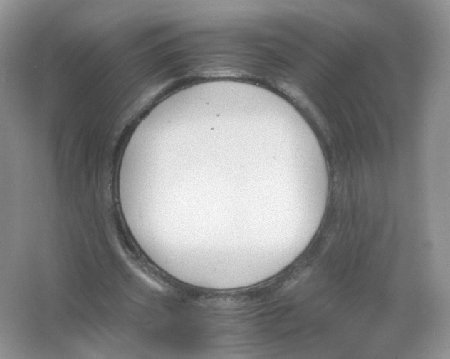 X0000063500533200602172121