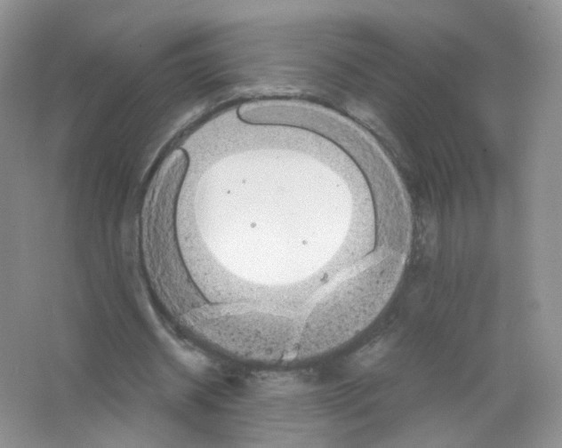 X0000063500534200602172121