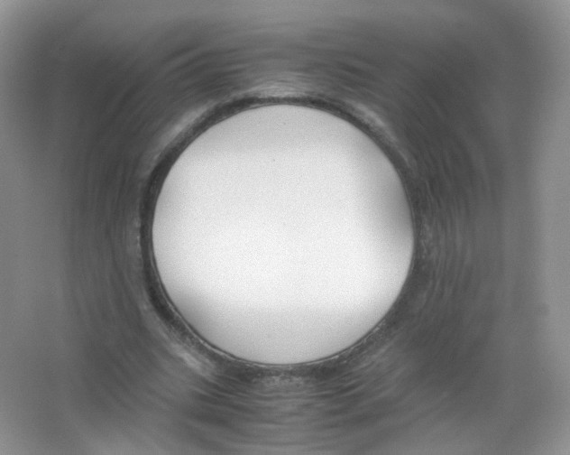 X0000063500535200602172121