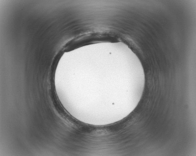 X0000063500536200602172121