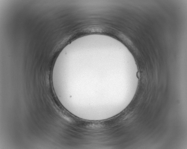 X0000063500537200602172121