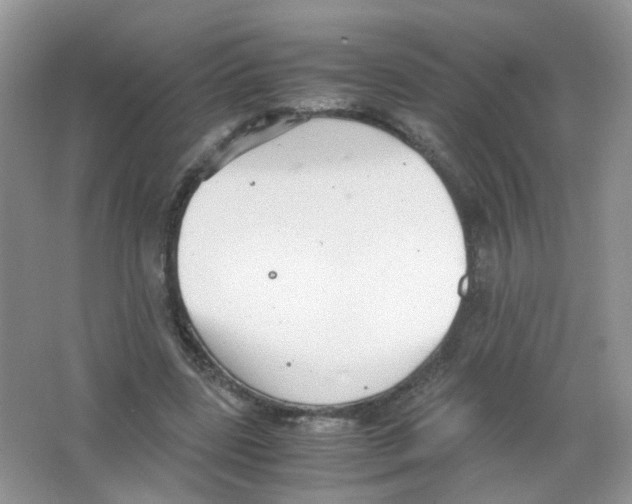 X0000063500539200602172121