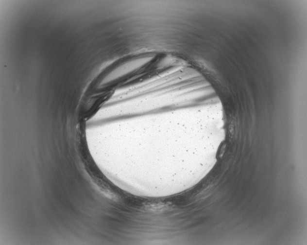 X0000063500540200602172121