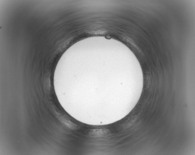 X0000063500541200602172121