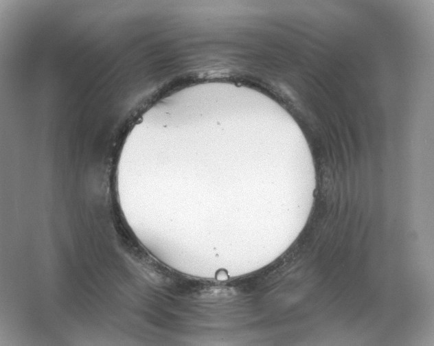 X0000063500543200602172122