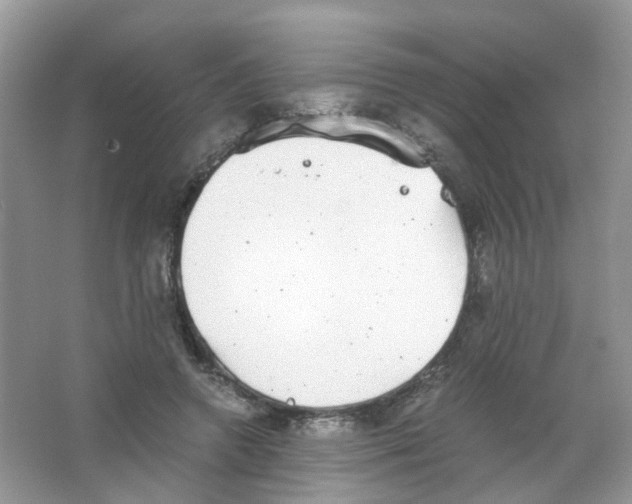 X0000063500546200602172122