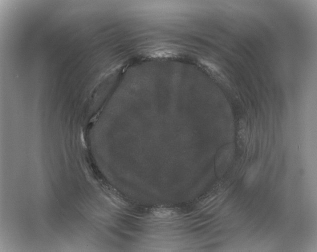 X0000063500547200602172122