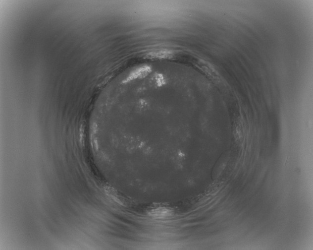 X0000063500551200602172122