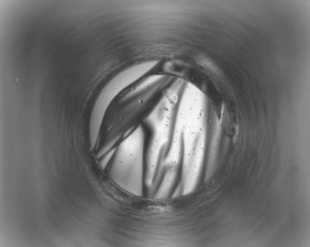 X0000063500552200602172122