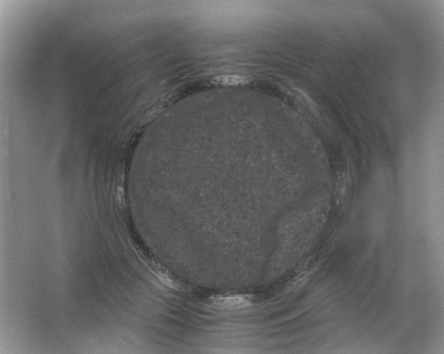 X0000063500553200602172122