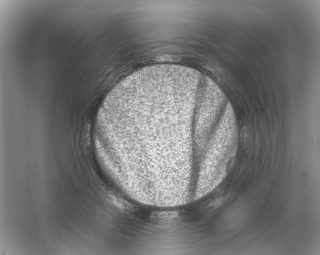 X0000063500554200602172122