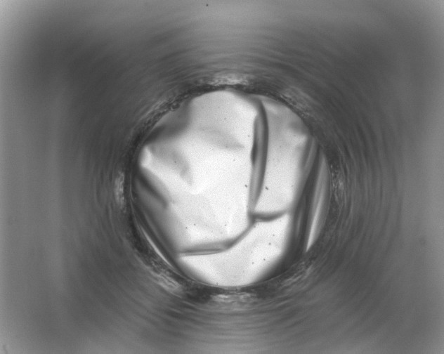 X0000063500556200602172122