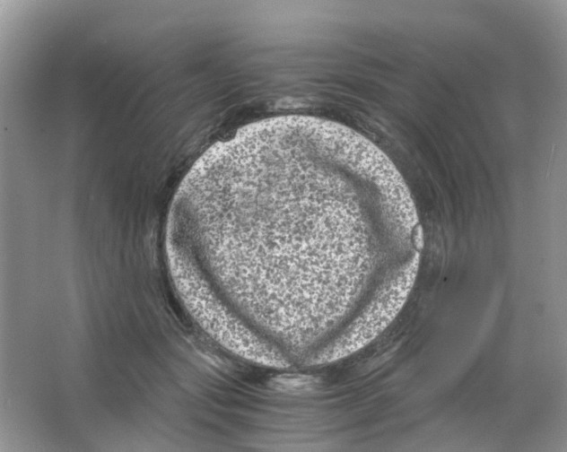 X0000063500557200602172122