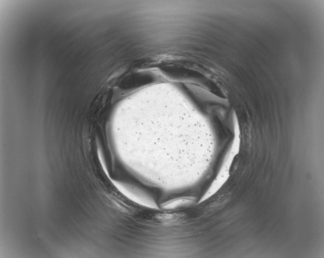 X0000063500558200602172122