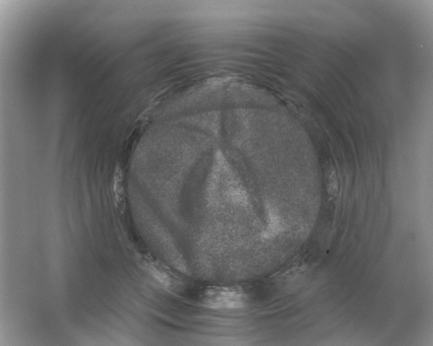 X0000063500559200602172122