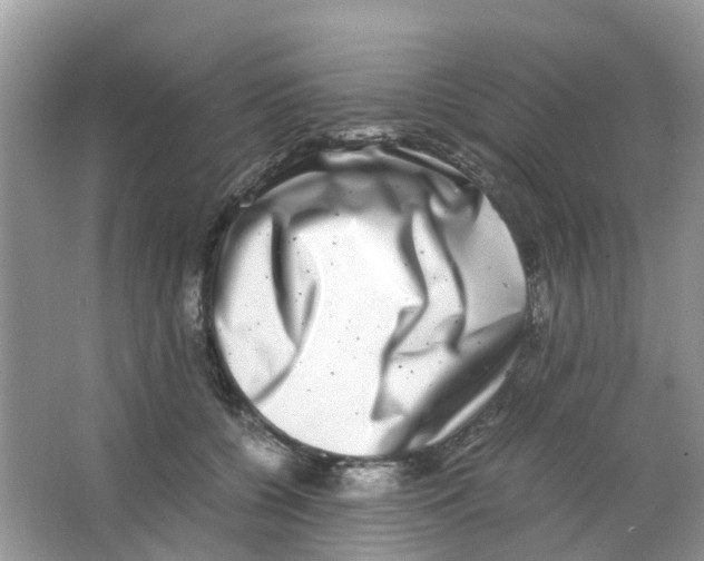 X0000063500560200602172122