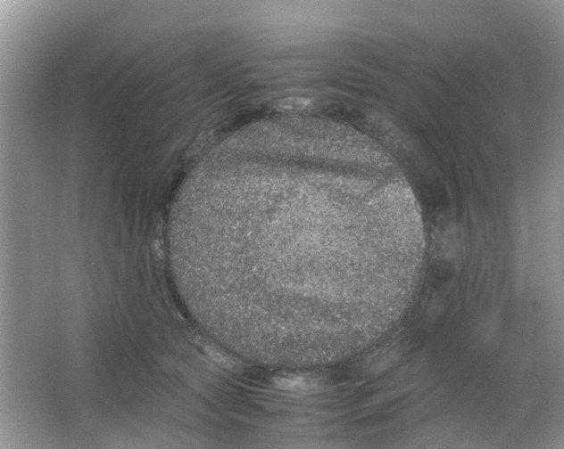 X0000063500561200602172122