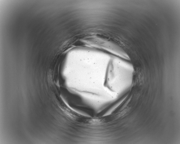 X0000063500562200602172122