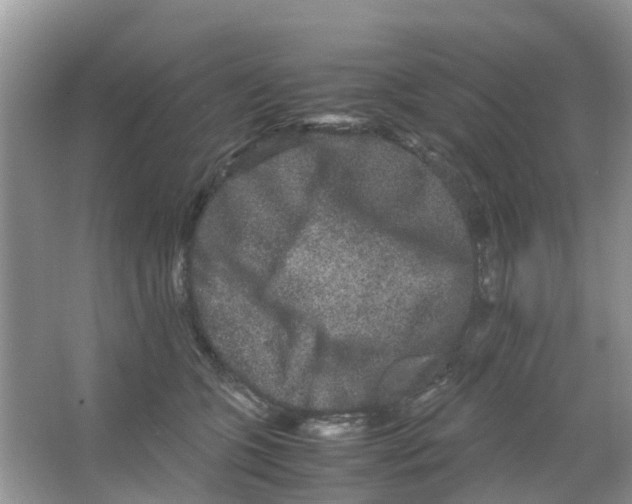 X0000063500563200602172122