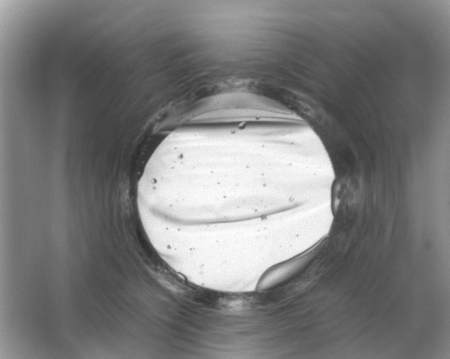 X0000063500564200602172122