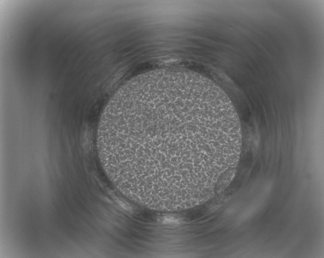 X0000063500565200602172122