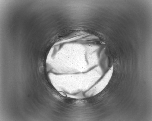 X0000063500566200602172122