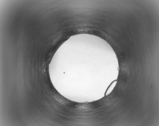 X0000063500567200602172122