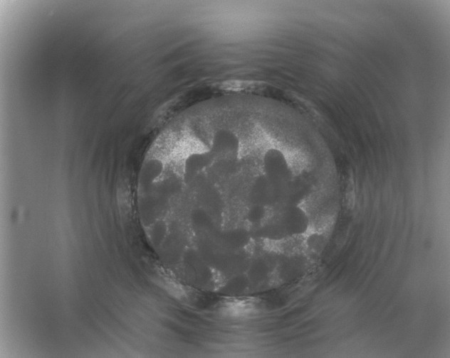 X0000063500569200602172122