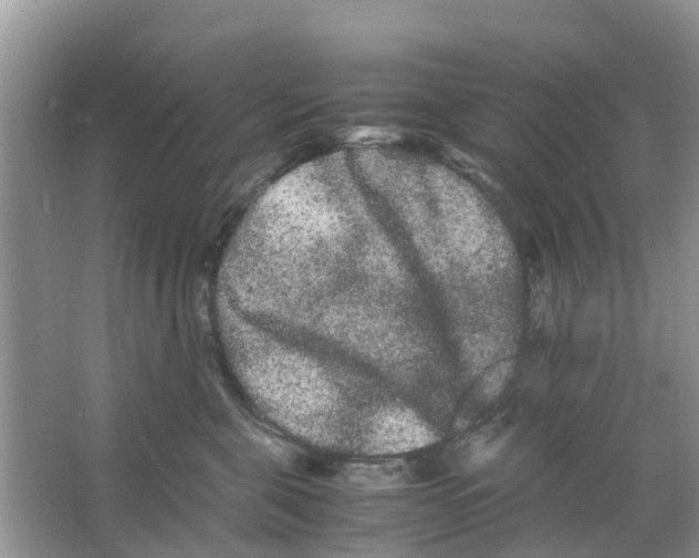 X0000063500571200602172122