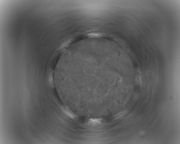 X0000063500573200602172122