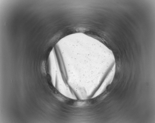 X0000063500575200602172122