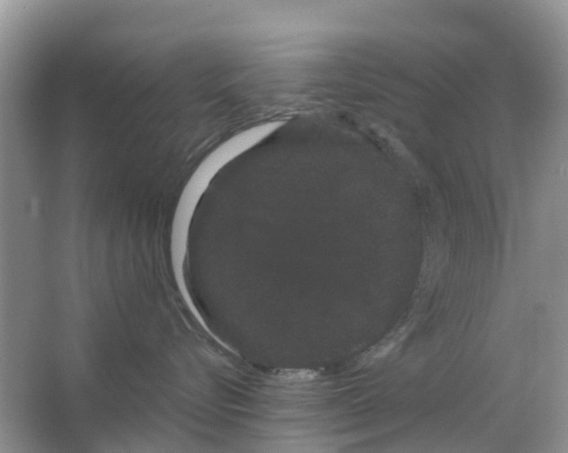 X0000063500576200602172122