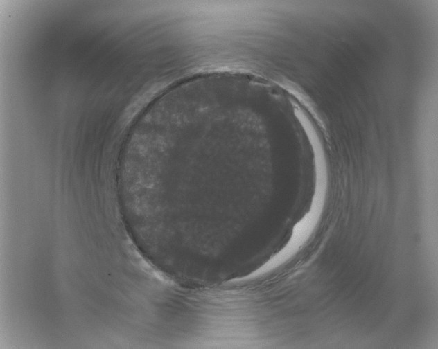 X0000063500577200602172121