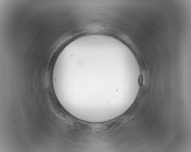 X0000063500579200602172121