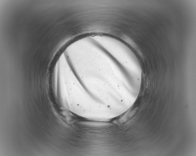 X0000063500580200602172121