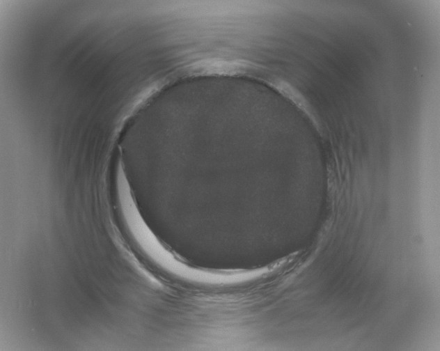 X0000063500581200602172121