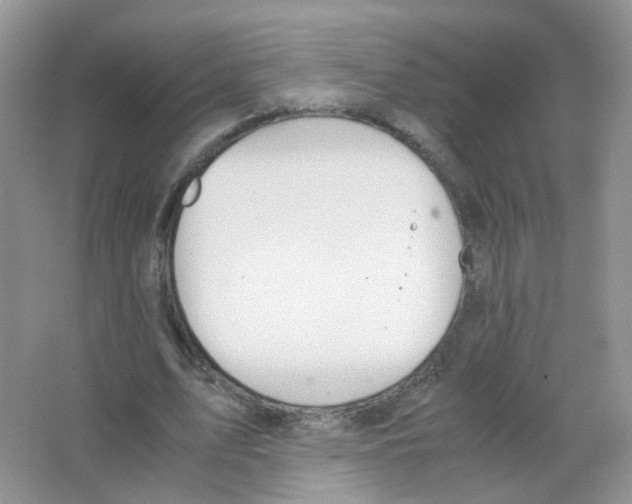 X0000063500583200602172121