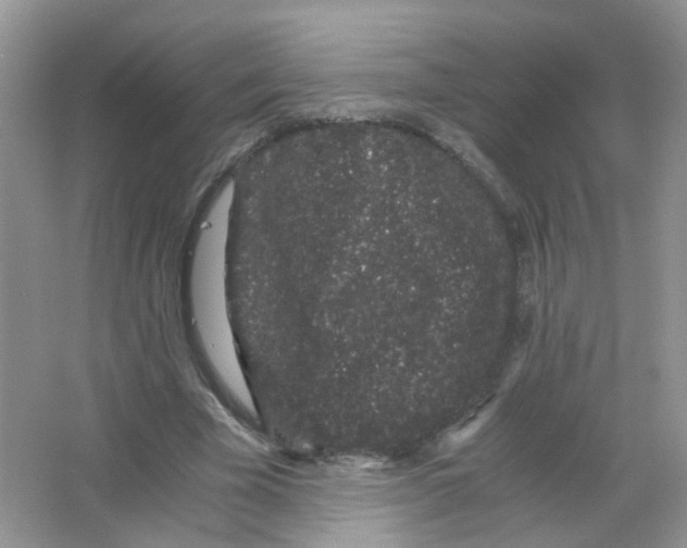 X0000063500585200602172121