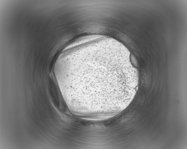 X0000063500586200602172121