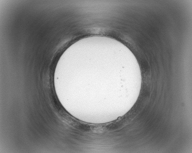 X0000063500587200602172121