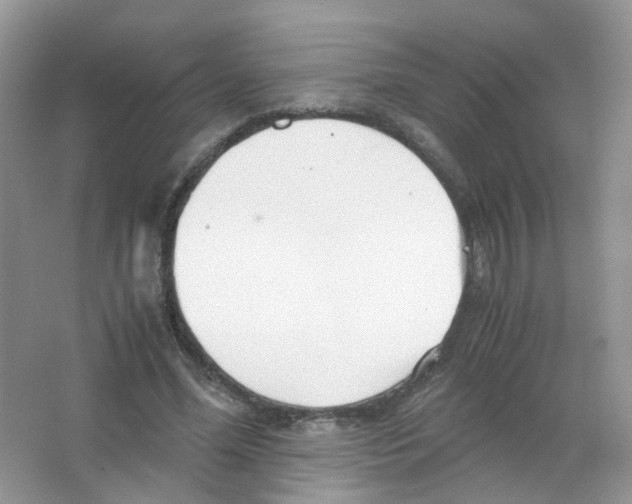 X0000063500588200602172121