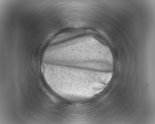 X0000063500589200602172121