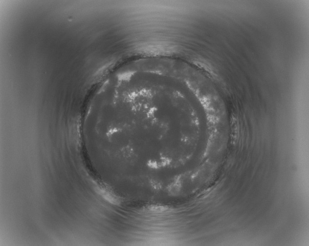 X0000063500590200602172121