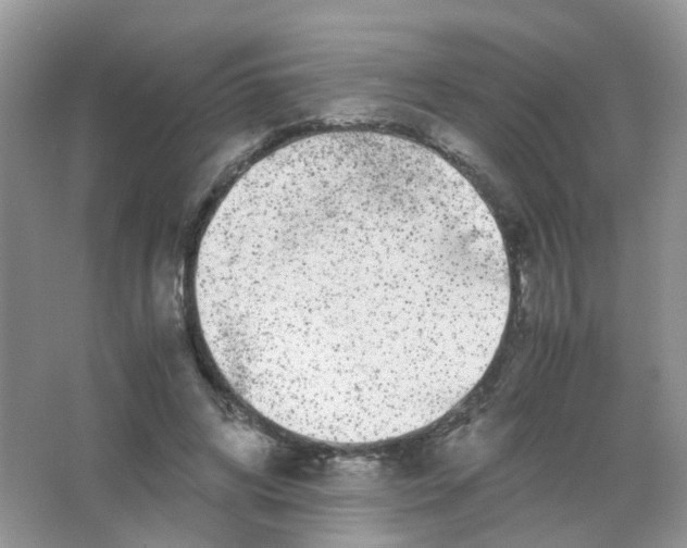 X0000063500592200602172121