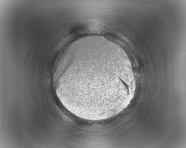 X0000063500593200602172121