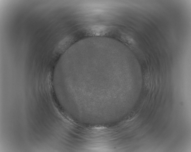 X0000063500594200602172121