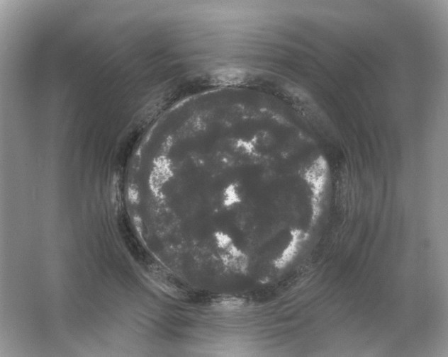 X0000063500598200602172121