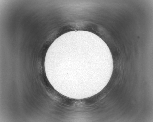 X0000063500599200602172121