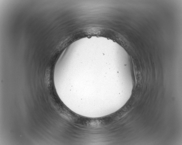 X0000063500600200602172121